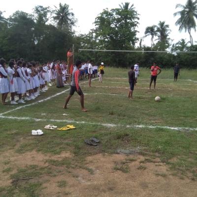 පාසල් ක්‍රීඩා උළෙල - 2024